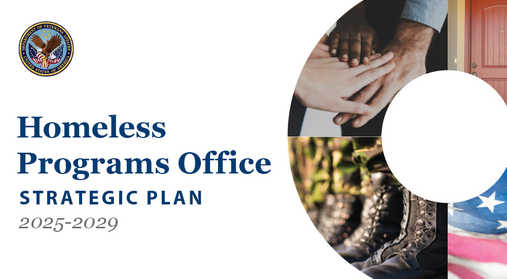 2025-2029 HPO Strategic Plan